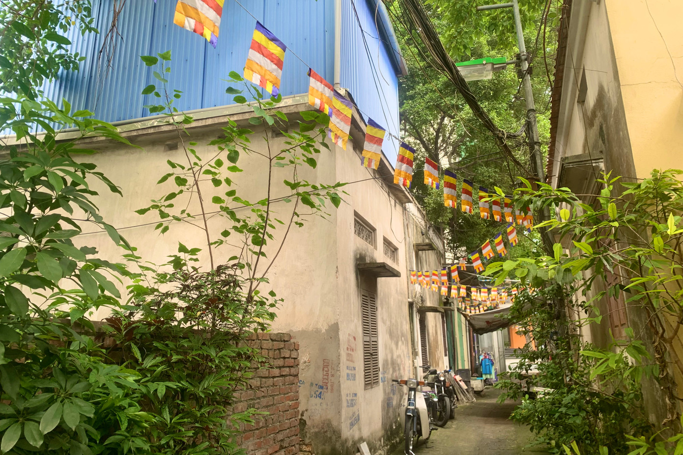 Nhiều hộ dân sinh sống trong ngõ nhỏ trên phố Trần Bình Trọng nằm trong quy hoạch của dự án.