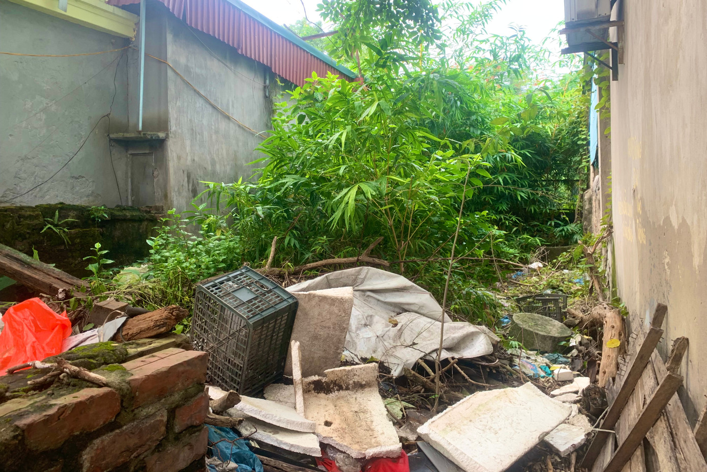 Một số khu đất bỏ hoang, thành nơi tập kết rác thải.