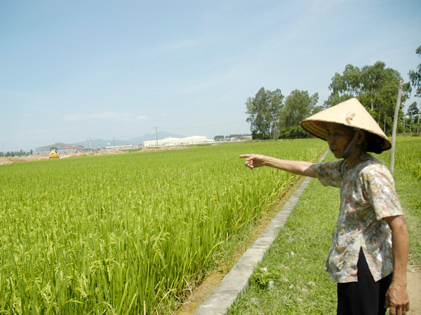 Người dân Chương Mỹ (Hà Nội) khiếu kiện vì đất trồng lúa bị lấy làm nhà máy Ảnh: Hồng Vĩnh