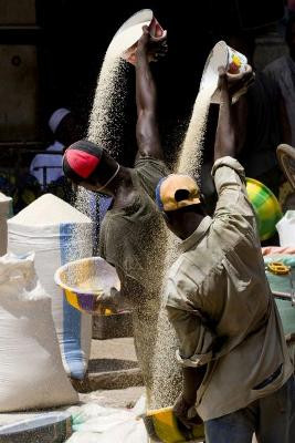 "Hai đường cong" - Chi Keung Wong (Mali).