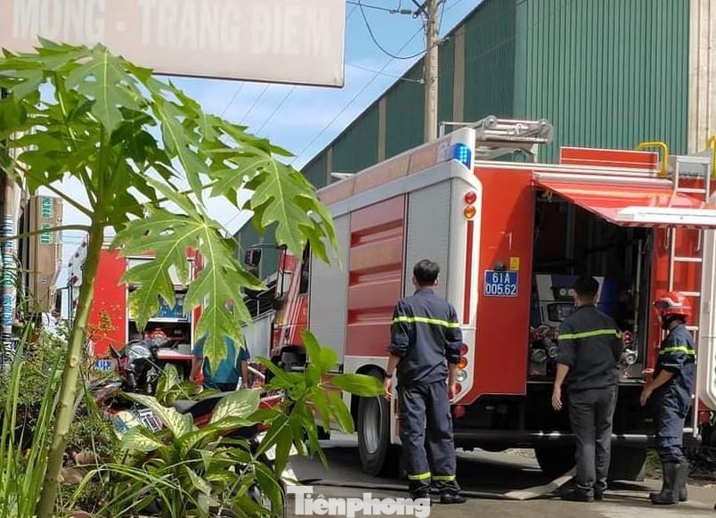 Điều đáng nói, nhà xưởng nằm trong khu dân cư nên khiến nhiều người dân sợ hãi. Nhận tin báo, đội PCCC TX.Tân Uyên đã điều động xe chữa cháy cùng các cán bộ chiến sĩ đến hiện trường để dập lửa. Điều đáng nói, nhà xưởng nằm trong khu dân cư nên khiến nhiều người dân sợ hãi. Nhận tin báo, đội PCCC TX.Tân Uyên đã điều động xe chữa cháy cùng các cán bộ chiến sĩ đến hiện trường để dập lửa.