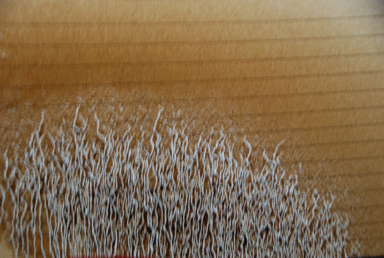 Bùn tóe lên kính hậu xe BT Thăng