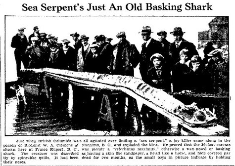 Quái vật Cadborosaurus 