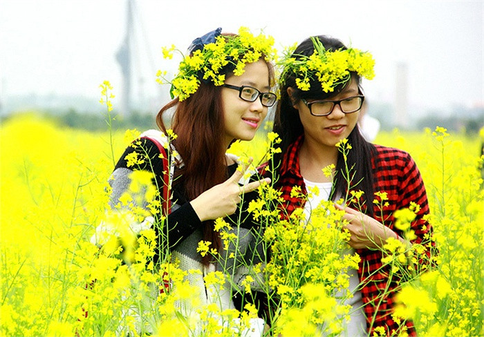 Để có được những bức ảnh đẹp bên hoa cải rực rỡ giới trẻ đã tận dụng khoảng thời gian này để chụp ảnh cùng hoa. Để có được những bức ảnh đẹp bên hoa cải rực rỡ giới trẻ đã tận dụng khoảng thời gian này để chụp ảnh cùng hoa