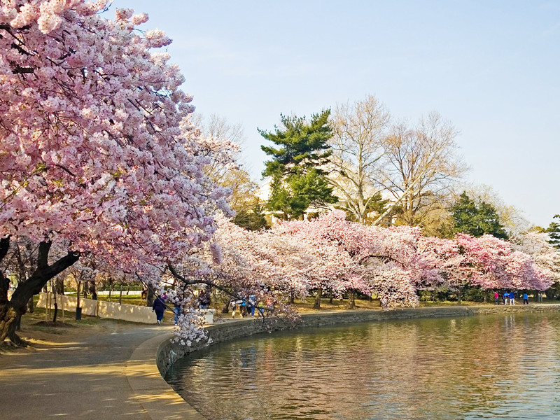 Hồ Tdal Basin ở Washington D.C. Hồ Tdal Basin ở Washington D.C
