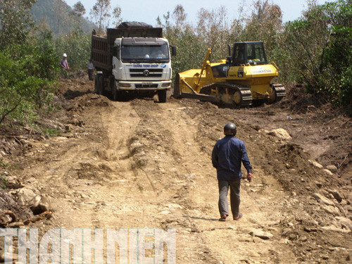 ... xẻ ngang cây cối