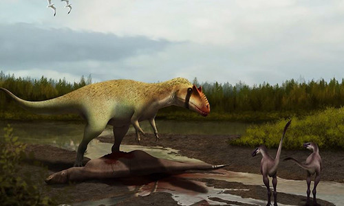 Hóa thạch tiết lộ tổ tiên của 'vua các loài khủng long' ảnh 2