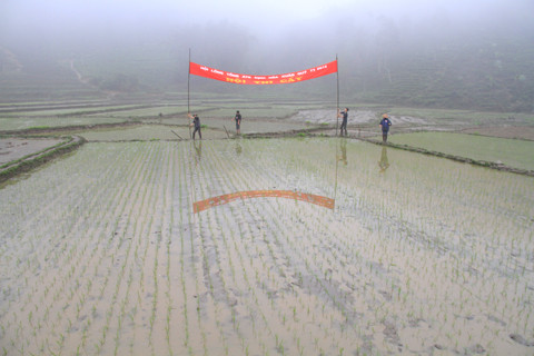 Hội Lồng Tồng cũng diễn ra cuộc thi cấy dành cho chị em phụ nữ với mong muốn mùa màng bội thu, thắng lợi. Ảnh: Trường Phong