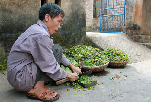Mất đôi mắt nhưng từ nhỏ ông Thanh đã làm tất cả mọi việc. Ảnh: Phan Dương
