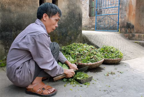 Mất đôi mắt nhưng từ nhỏ ông Thanh đã làm tất cả mọi việc. Ảnh: Phan Dương