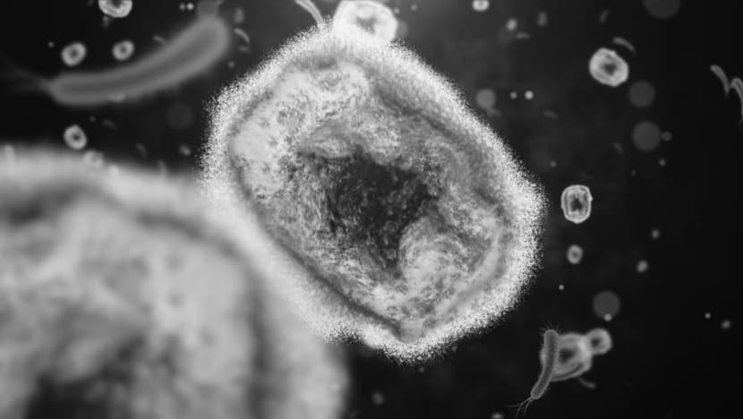 Hình ảnh virus đậu mùa khỉ. Ảnh: CNA Hình ảnh virus đậu mùa khỉ. Ảnh: CNA
