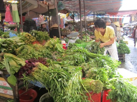 Giá rau tăng cao do ảnh hưởng của tình hình mưa bão, sản lượng rau giảm vì bị hư hỏng nhiều