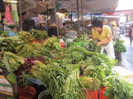 Giá rau tăng cao do ảnh hưởng của tình hình mưa bão, sản lượng rau giảm vì bị hư hỏng nhiều