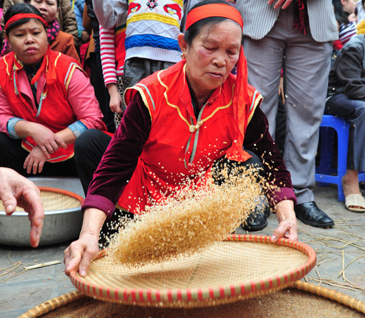 Các bà sàng sẩy cho mau để mau đưa hạt gạo vào nấu