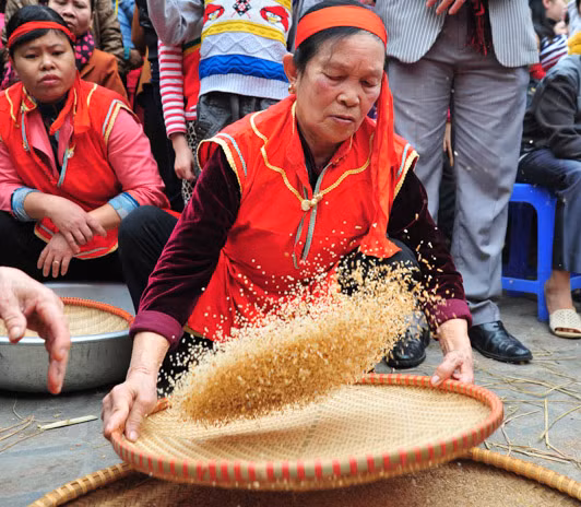Các bà sàng sẩy cho mau để mau đưa hạt gạo vào nấu