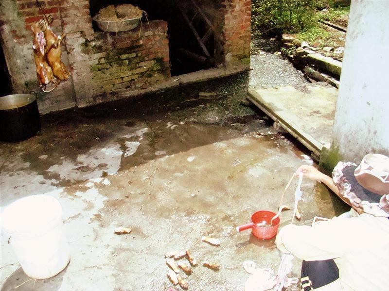 Chó được thịt ngay rãnh nước bẩn. Ảnh: Đỗ Hợp