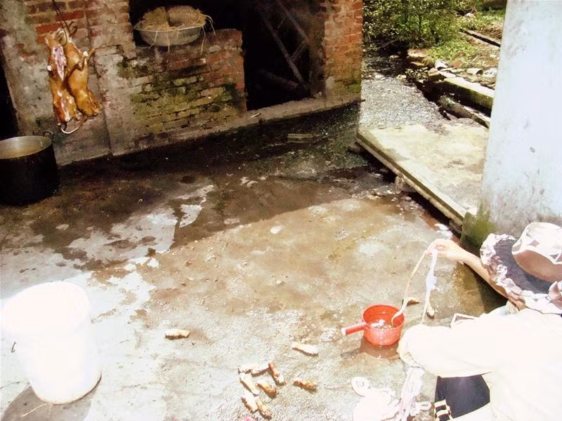 Chó được thịt ngay rãnh nước bẩn. Ảnh: Đỗ Hợp