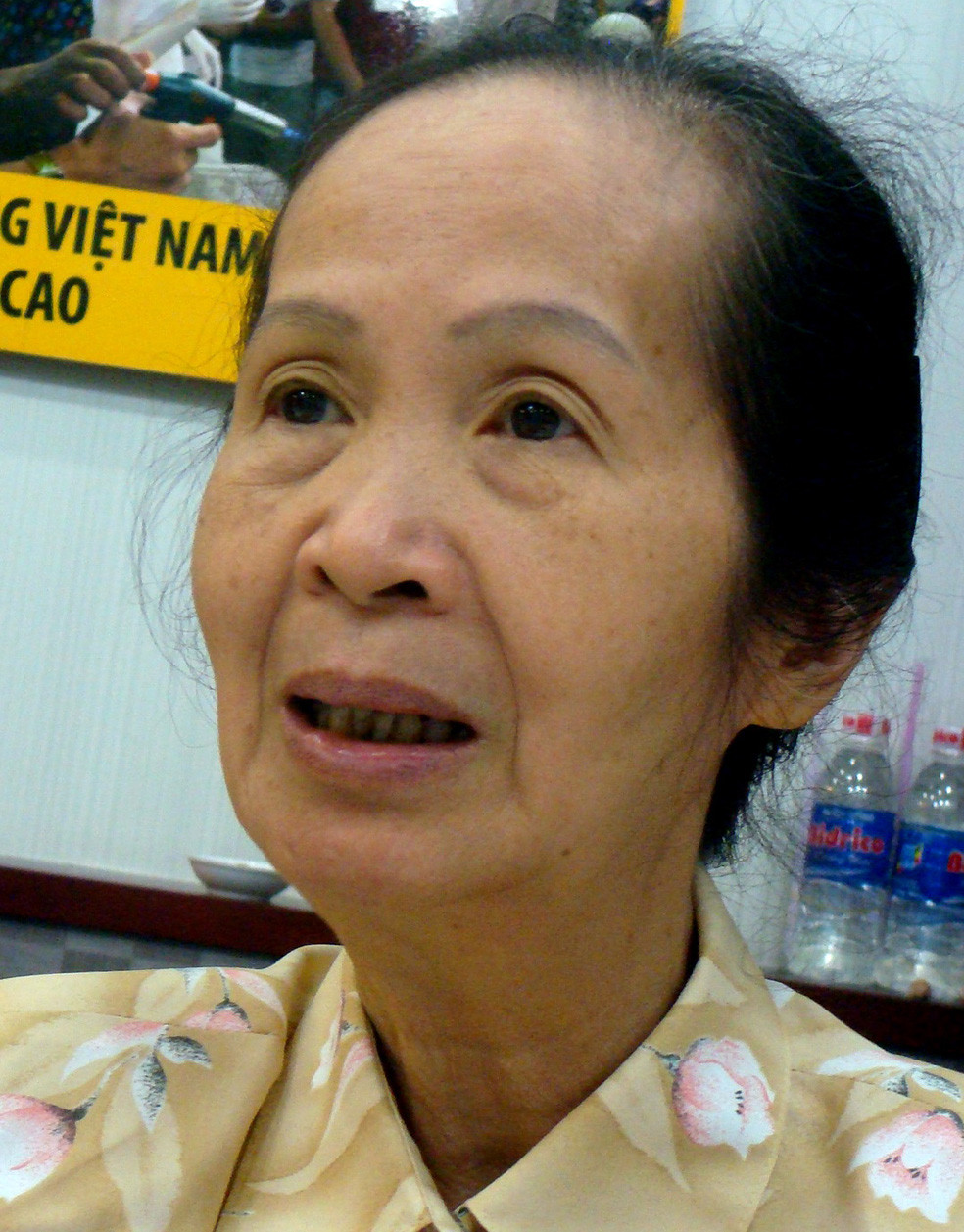 Chuyên gia kinh tế Phạm Chi Lan 