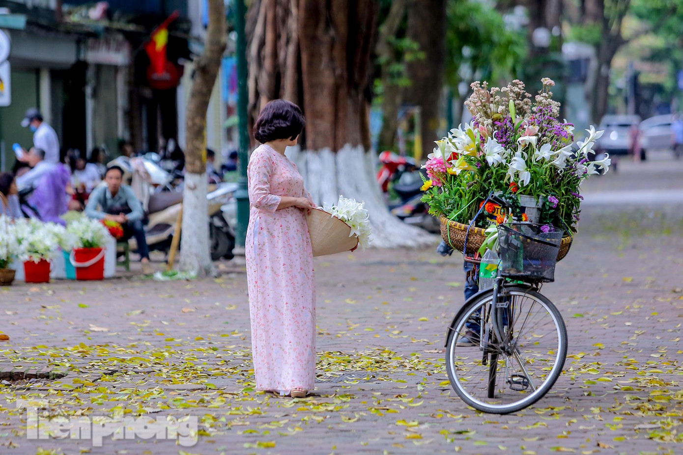Tạo cảnh với xe chở đầy hoa với giá 20.000 đồng/lượt/người. Tạo cảnh với xe chở đầy hoa với giá 20.000 đồng/lượt/người.