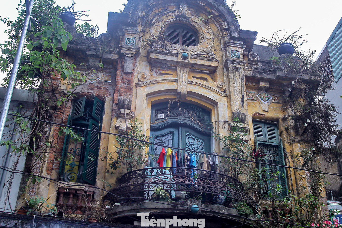Các khung cửa chính và cửa sổ đã xuống cấp, xung quanh mọc đầy cỏ dại.
