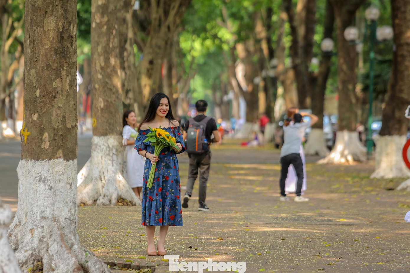 Tại phố Phan Đình Phùng, nhiều người tranh thủ chụp ảnh với lá vàng rụng.