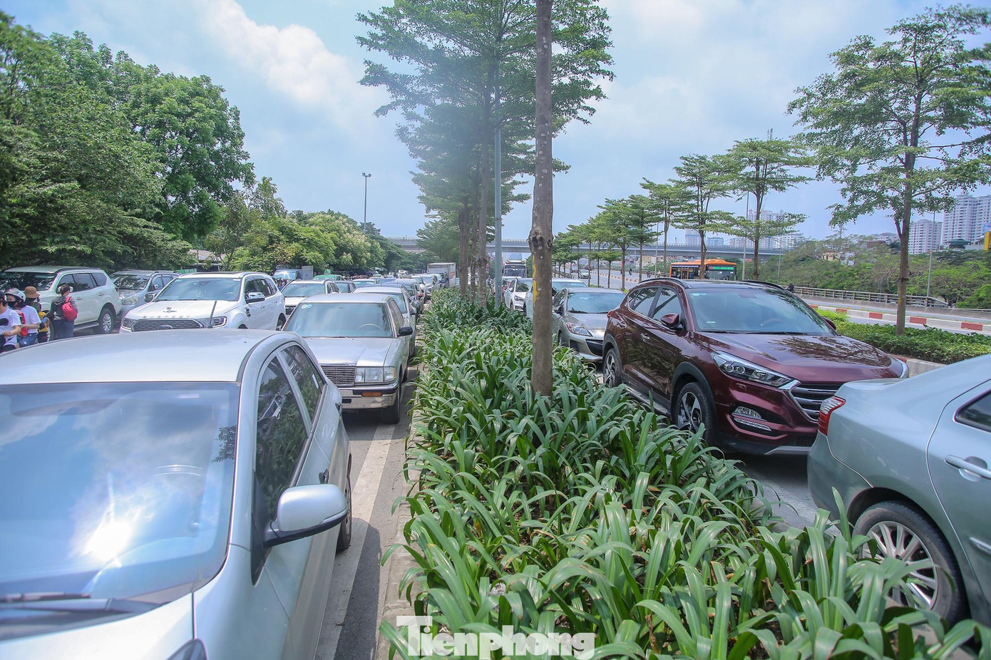 Phía trên đường Bưởi, lòng đường được tận dụng thành bãi đỗ xe dài hàng trăm chiếc.