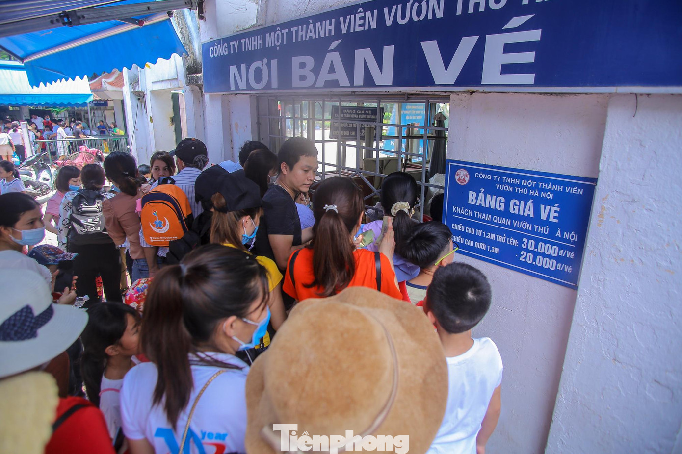 Chen nhau mua vé tại cửa.