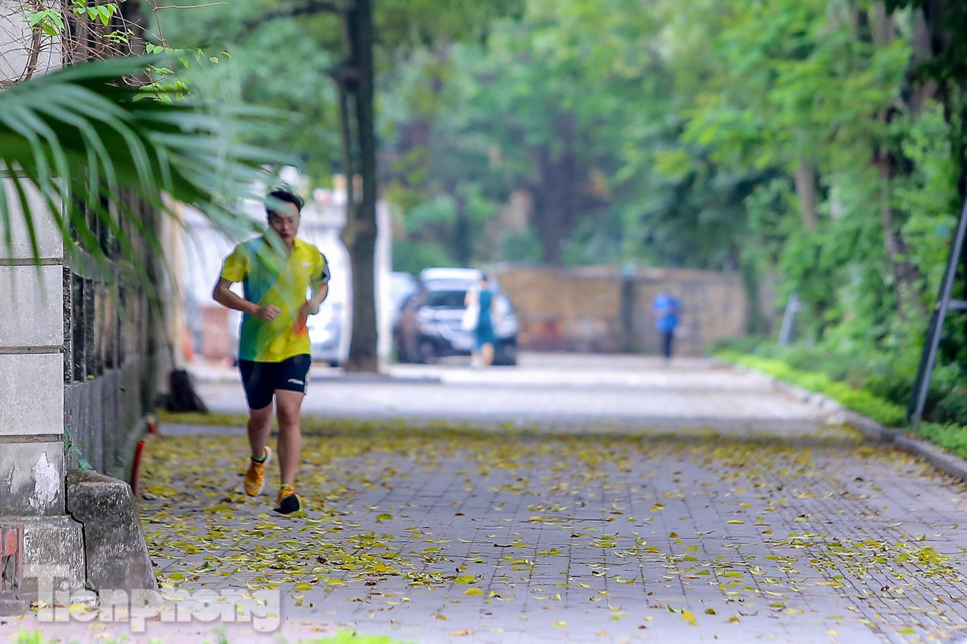 Nơi đi bộ, rèn luyện thể thao yêu thích của người dân Thủ đô cũng phủ đầy lá vàng. Nơi đi bộ, rèn luyện thể thao yêu thích của người dân Thủ đô cũng phủ đầy lá vàng.
