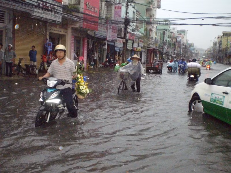 “Tả tơi” giò hoa đẹp mà người đàn ông này đã cất công săn lùng tặng vợ nhân dịp 8/3.