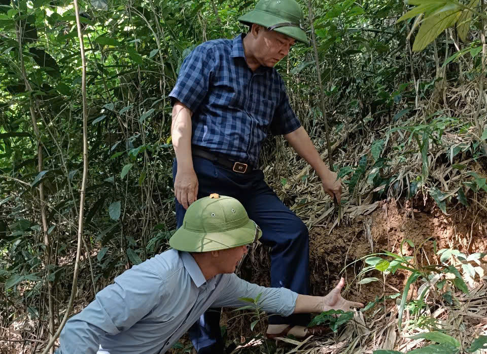 Vết nứt và sụt trên đồi ở thôn Đồng Phông, xã Phượng Nghi vừa được phát hiện Vết nứt và sụt trên đồi ở thôn Đồng Phông, xã Phượng Nghi vừa được phát hiện