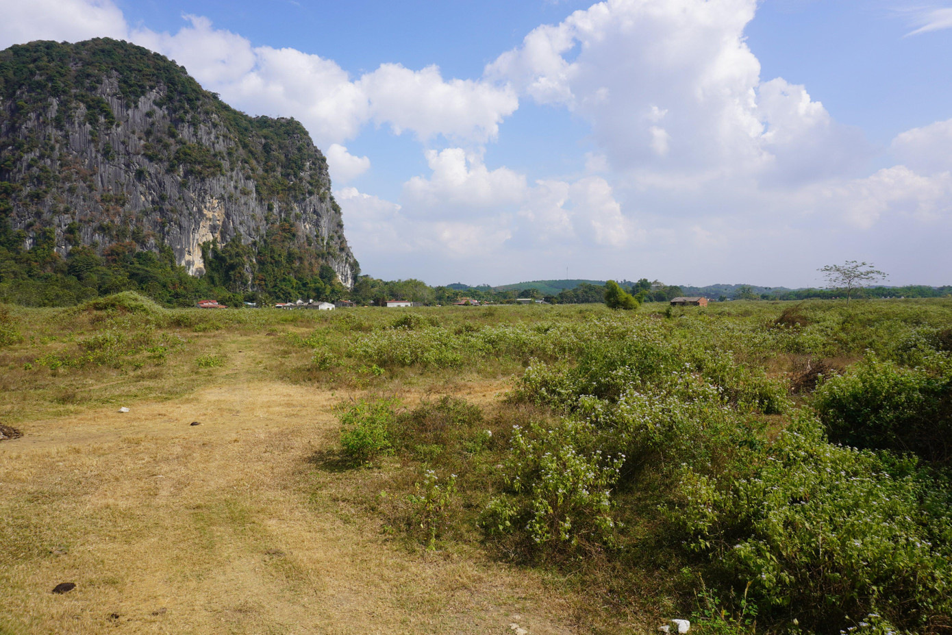Nhiều khu vực trong dự án trở thành bãi chăn thả trâu bò, ao thả cá.