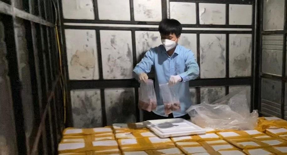 85 thùng cá khoai ướp phoóc môn đang được đưa đi tiêu thụ thì bị bắt giữ