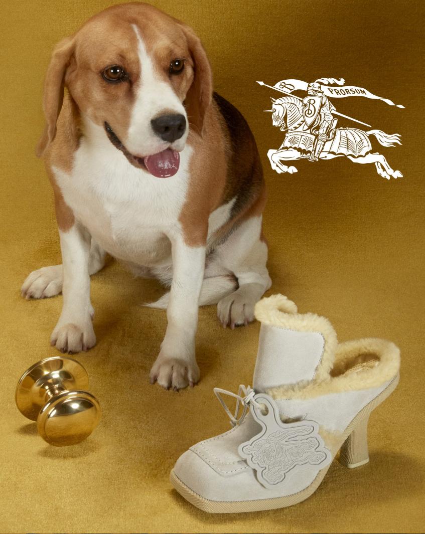 Trong chiến dịch mới dành cho kỳ nghỉ lễ 2023, Burberry thật sự tạo được dấu ấn khi hợp tác với những chú chó con và vịt con. Trong chiến dịch mới dành cho kỳ nghỉ lễ 2023, Burberry thật sự tạo được dấu ấn khi hợp tác với những chú chó con và vịt con.