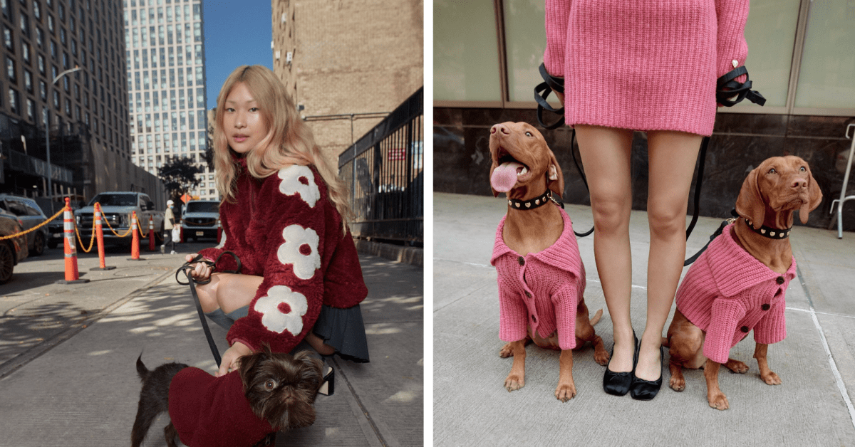 Sandy Liang và Little Beast đã hợp tác để biến các thiết kế đặc trưng của Liang thành những bộ đồ dành cho thú cưng. Sandy Liang và Little Beast đã hợp tác để biến các thiết kế đặc trưng của Liang thành những bộ đồ dành cho thú cưng.