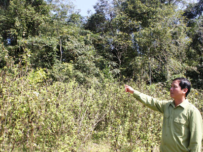 Cán bộ đồn biên phòng A Dơi bên khu rừng ma của bản Pa Roi . Cán bộ đồn biên phòng A Dơi bên khu rừng ma của bản Pa Roi