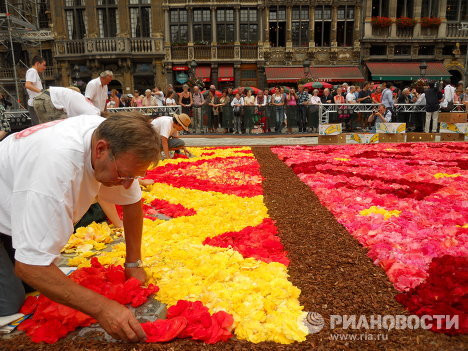 Sử dụng hoa hải đường để xếp thành những đường hoa văn lớn