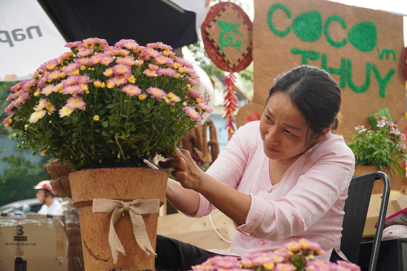 Cúc lai giống Hà Lan, Hàn Quốc nhiều màu sắc là các loại hoa mới được bày bán tại chợ hoa năm nay, bên cạnh thược dược, hướng dương, mào gà,... Chị Minh Ái cho biết cửa hàng mình bày bán cúc lai với chậu làm bằng xơ dừa, thân thiện với môi trường. "Một cặp cúc này được bán giá 450.000-550.000 đồng, giá cao hơn thị trường vì giống mới, không có nhiều hàng", chị Minh Ái nói.