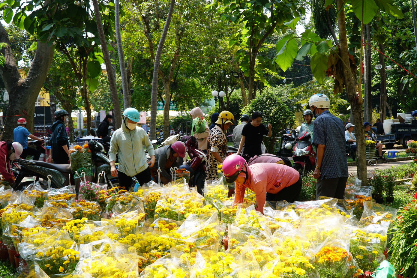 Bà Ngọc Hoa (ngụ Bình Thạnh) cho hay nhà mình đã mua 2 chậu cúc đại đóa nhưng sáng nay thấy hoa rẻ nên lựa thêm vài chậu vạn thọ.