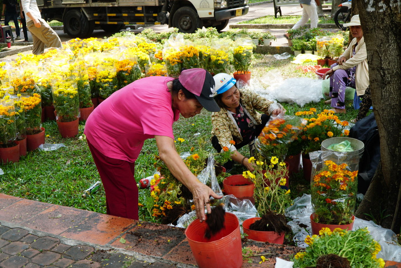 Một số người tiếc nuối lượm hoa bị vứt bỏ để tận dụng đem về chưng Tết. Đây là những chậu hoa bị dập một phần hoặc gãy cành.