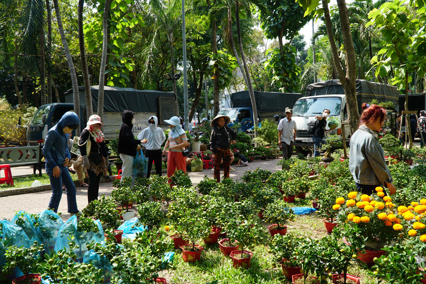 Mức giảm giá phổ biến nhất là sẽ 50% so với những hôm đầu ra chợ, một số nơi giảm luôn 70% để về sớm. Một chậu quật mini ngày thường có giá 150.000 đồng, đến trưa 29 Tết được bán "xả lỗ" với giá 50.000 - 70.000 đồng.