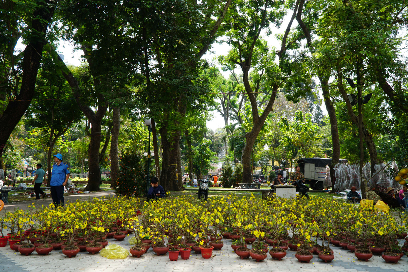 Cận giờ trả mặt bằng, nhiều tiểu thương bày hoa ra sát đường để mong bán được những chậu cuối. Chị N. (chủ vựa hoa ở Chợ Lách, Bến Tre) cho biết, chợ hoa năm nay ảm đạm so với mọi năm. "Tôi còn hơn 50 chậu hoa các loại, phải thuê xe chở về quê để chăm bón đợi bán vào mùa Tết năm sau", chị N. bày tỏ.