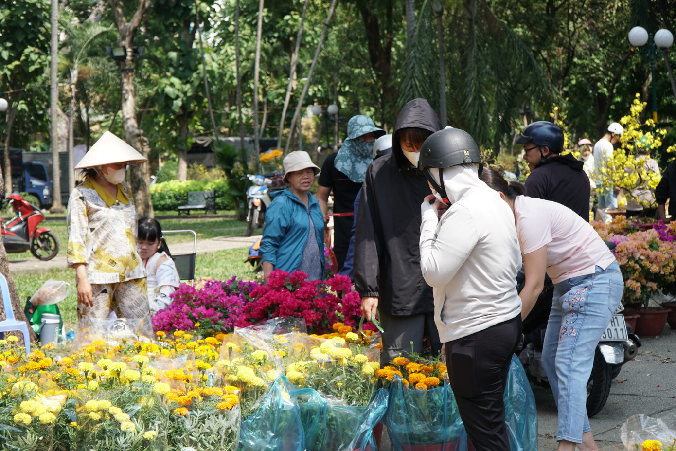 Các loại hoa được chơi phổ biến dịp Tết như vạn thọ, mào gà giảm giá chỉ còn từ 80.000 đồng/cặp.