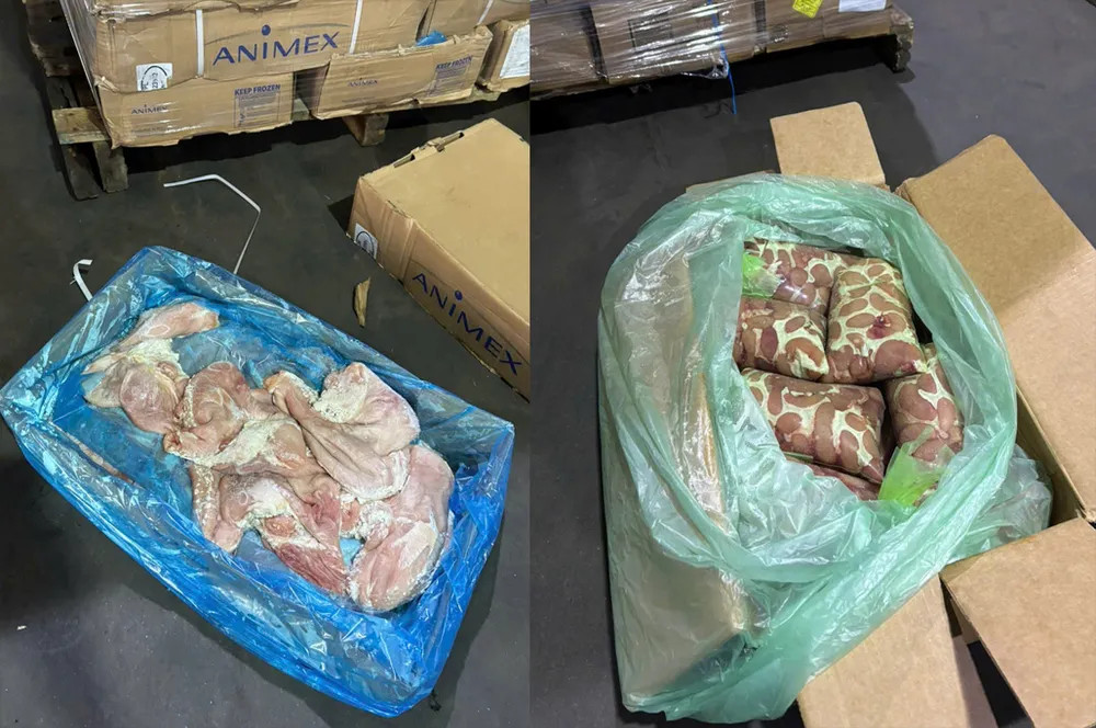 Thịt động vật không có hóa đơn, chứng từ chứng minh nguồn gốc, xuất xứ. Ảnh: Công an cung cấp.