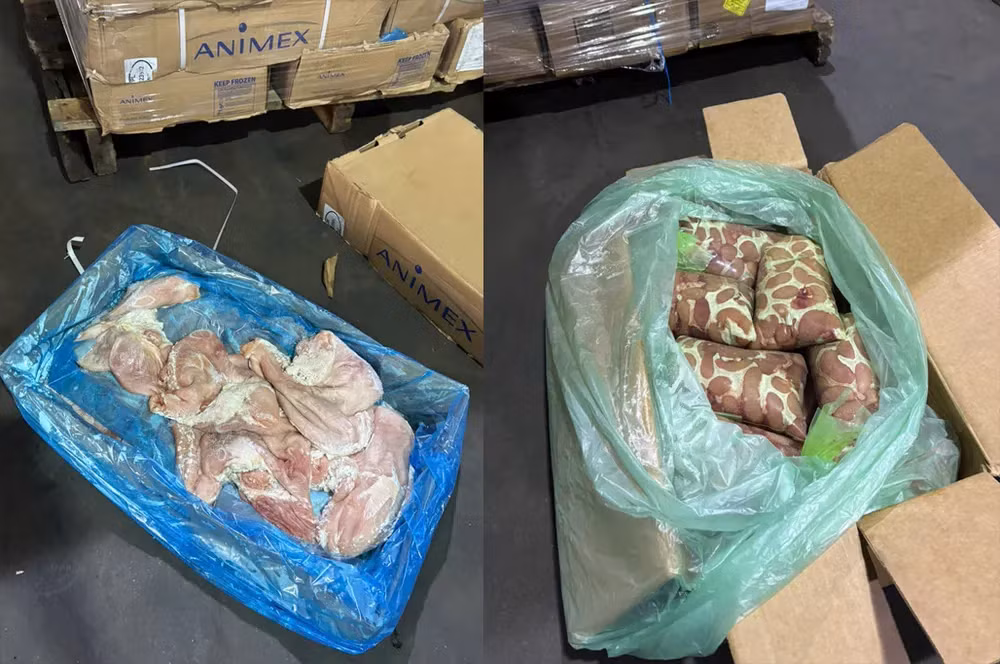 Thịt động vật không có hóa đơn, chứng từ chứng minh nguồn gốc, xuất xứ. Ảnh: Công an cung cấp.