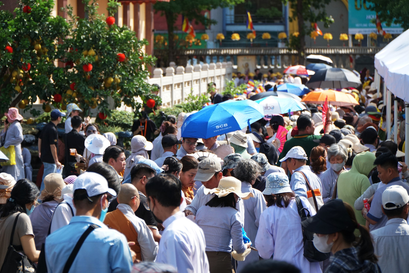 Việc cung thỉnh, tôn trí và chiêm bái xá lợi trái tim Bồ tát Thích Quảng Đức là một trong những sự kiện tâm linh quan trọng được thực hiện vào dịp đại lễ Vesak Liên hiệp quốc 2025, trong những ngày đầu của đại lễ Phật đản Phật lịch 2569.