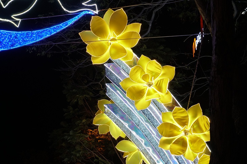 Không khí Noel ngập tràn đường phố Sài Gòn ảnh 6