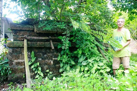 Xót xa di tích quốc gia hoang phế giữa lòng thủ đô ảnh 12