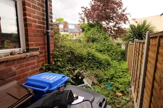 Ngôi nhà còn có một khu vườn ở sân sau nhưng nó đã bị cây cối và cỏ dại che phủ. Ngôi nhà còn có một khu vườn ở sân sau nhưng nó đã bị cây cối và cỏ dại che phủ.