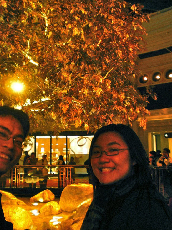 … và “cây Thịnh vượng” vươn lên khỏi nền nhà…