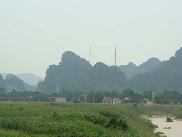 Khu vực rộ lên tin đồn lâm tặc trúng cây trăm tỷ. Khu vực rộ lên tin đồn lâm tặc trúng cây trăm tỷ